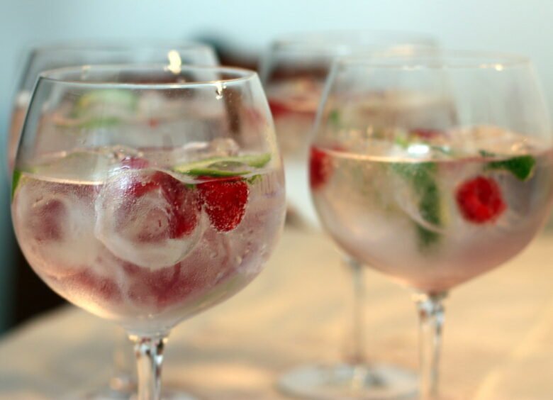 recetas gin tonic