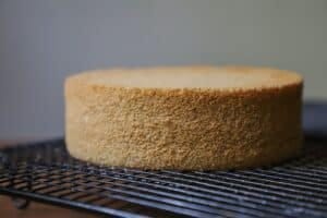 Base para Tarta