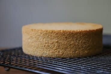 Base para Tarta